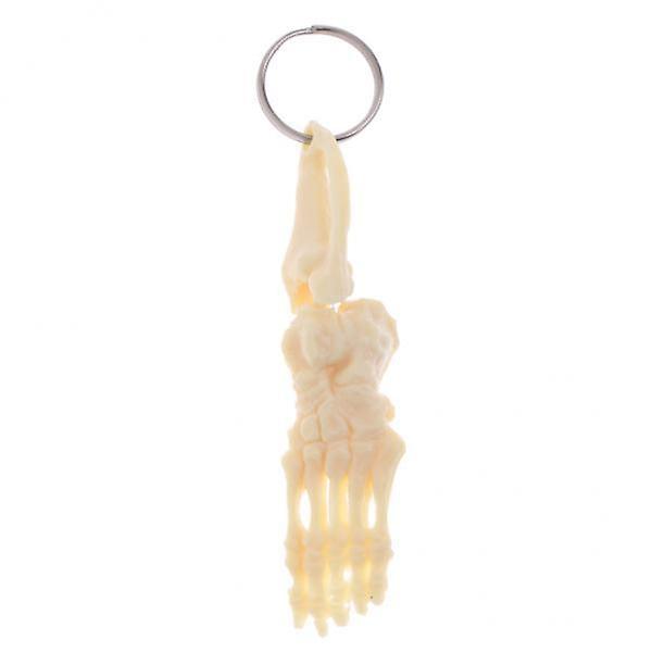 4xHuman Skeleton Foot and Ankle Joint Model Key Chain Key Ring Creative Gift