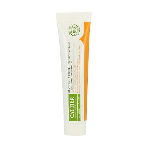 Dentargile Salvia Toothpaste (Dolorous Gums) 75 ml