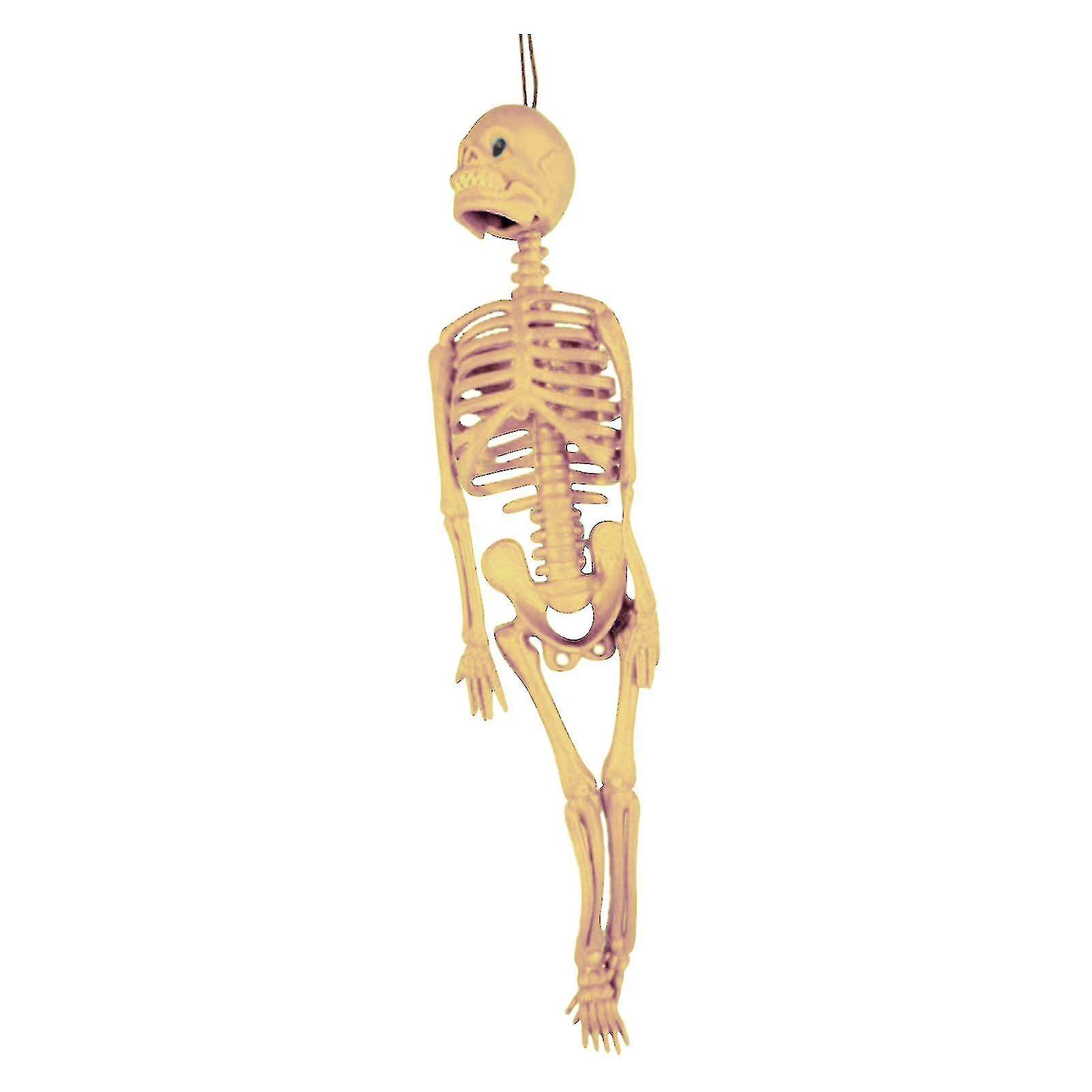 Halloween Tricky Scary Skeleton Human Skeleton Skeleton Model A