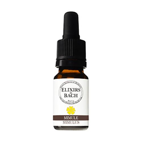 20 Mimule 10 ml of floral elixir