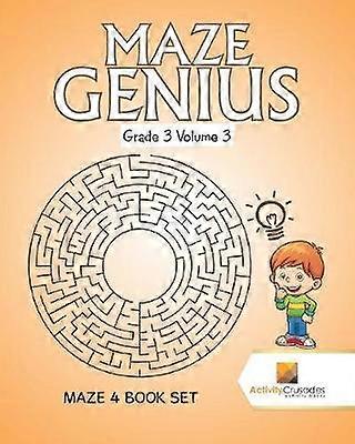 Maze Genius Grade 3 Volume 3