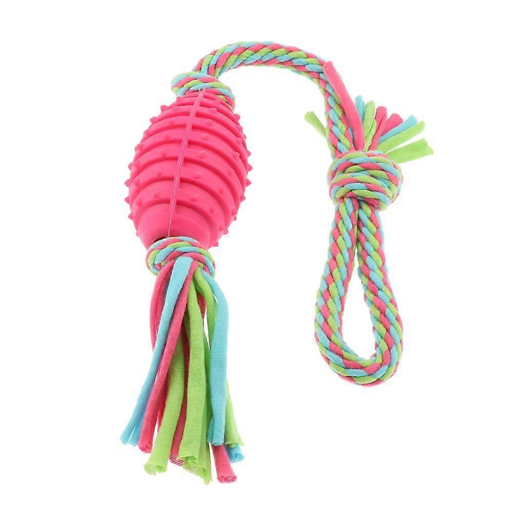 Interactive Rope Chew with Medium to Large Dog and