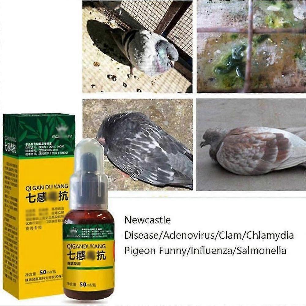 Pigeon Vaccine for Watery Stool, Green Stool, Salmonella, and Chlamydia