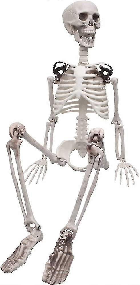 Halloween Skeleton-whole Body Life, Such As Skeleton Model With Movable Joints Compatible With Halloween