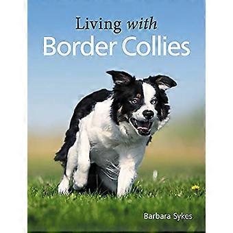 Leben mit Border Collies
