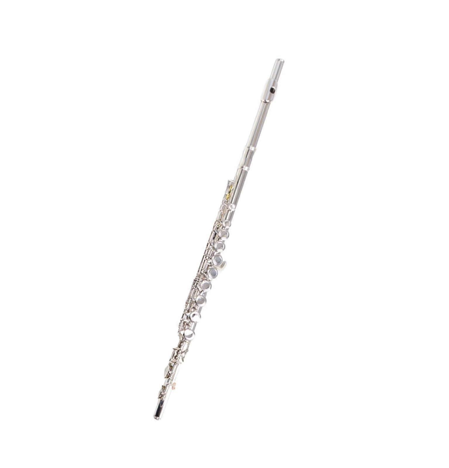 Beginner C Key Flute with Split E, Silver Plated 16 Holes for School and Practice