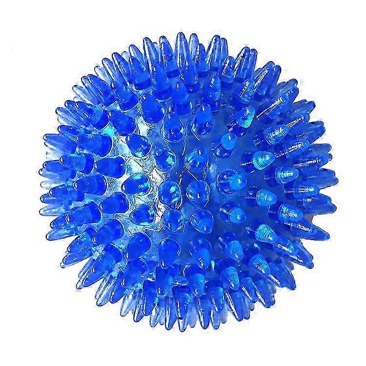 Bouncy Squeaky Hedgehog Toy