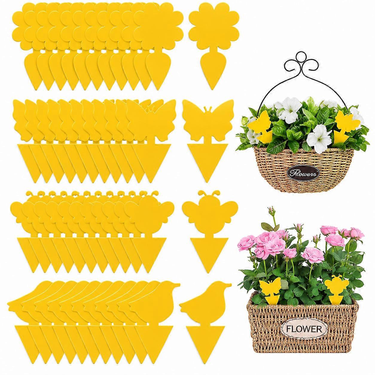 INF Söta & Effektiva FlugfångareFlugfällor, 48-pack