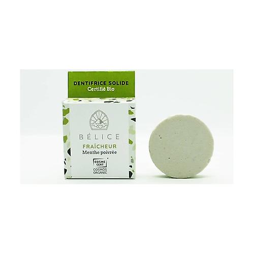 Organic solid toothpaste 18 g (Mint)