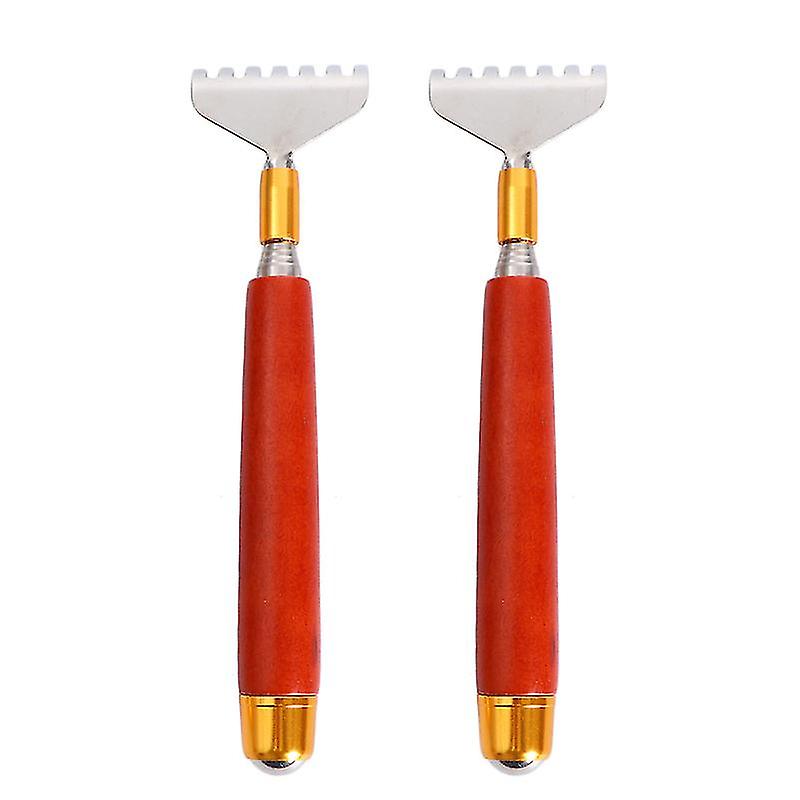 2pcs Stainless Steel Scratcher