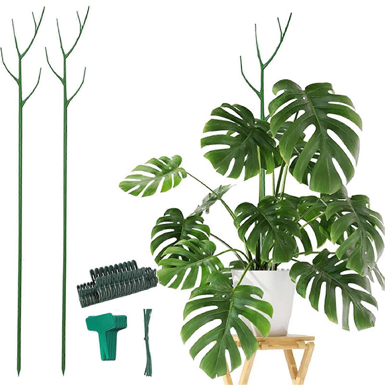 Spalier fr Topfpflanzen Pflanzensttze fr Zimmerpflanzen Spalier fr  Monstera und andere Kletterzimmerpflanzen | Fruugo DE