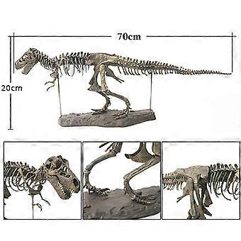 Squelette De Tyrannosaure Modèle Assemblage Dinosaure - Décoration Réaliste 70cm Pour Enfant Et Adulte