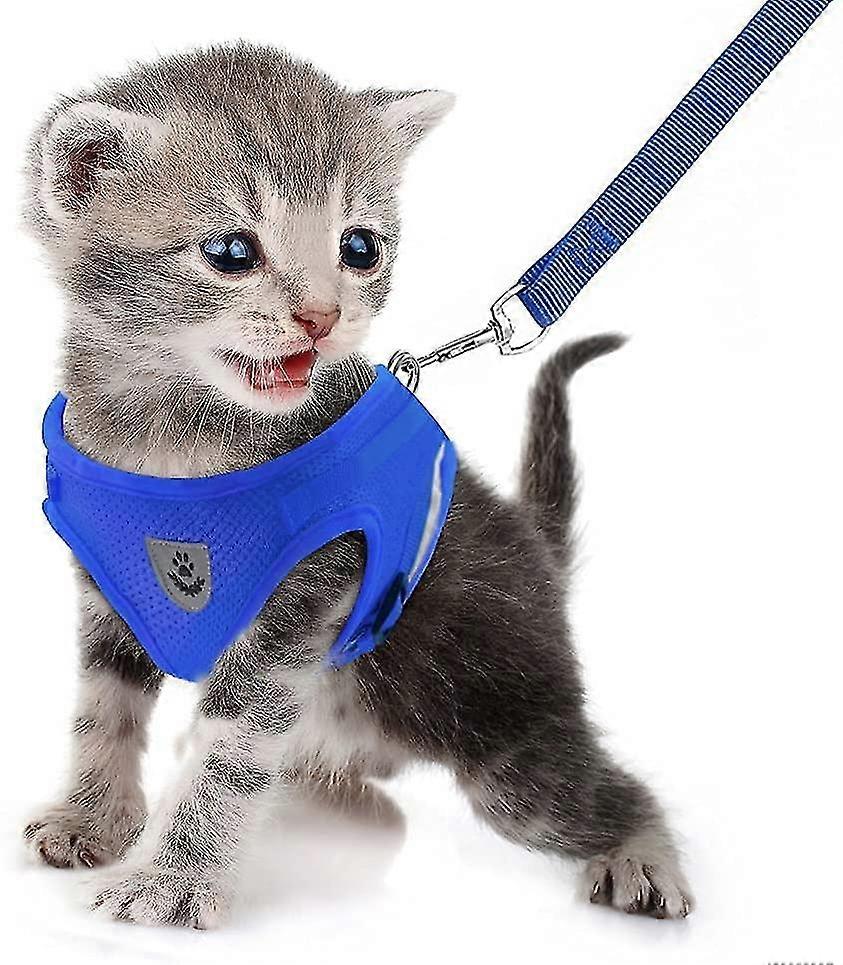 Dog Harness And Leash, Soft Mesh Padded Puppy Cat Harness Set, Breathable Jacket, Adjustable Reflect