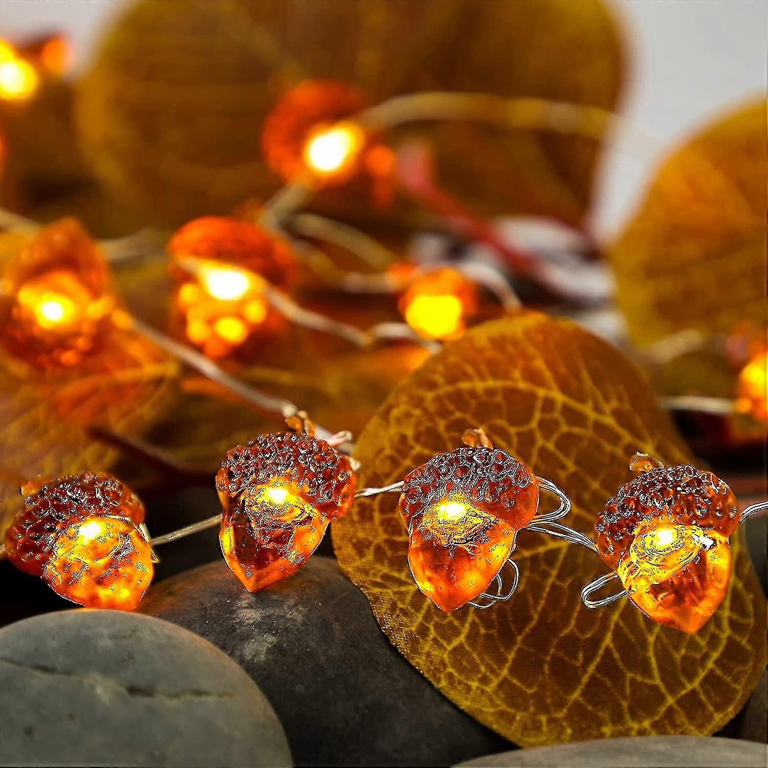 Acorn 3m Silver Wire 30led Christmas Light String Halloween