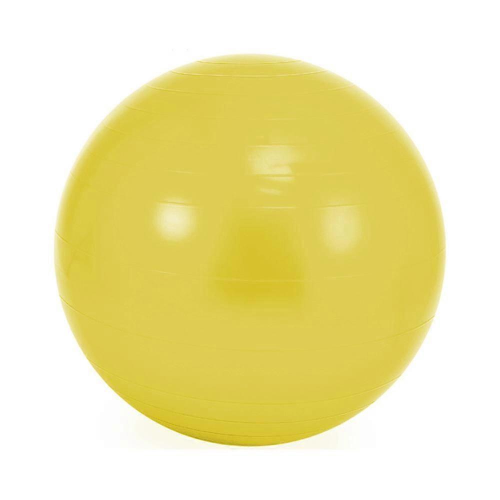 Stability Exercise Ball