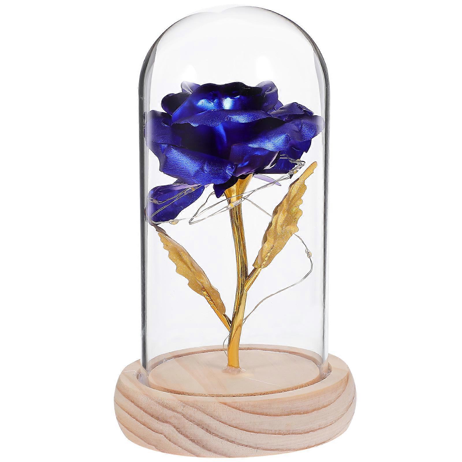 Couple Gift Preserved Rose Flower LED Lights in Glass Dome without Battery