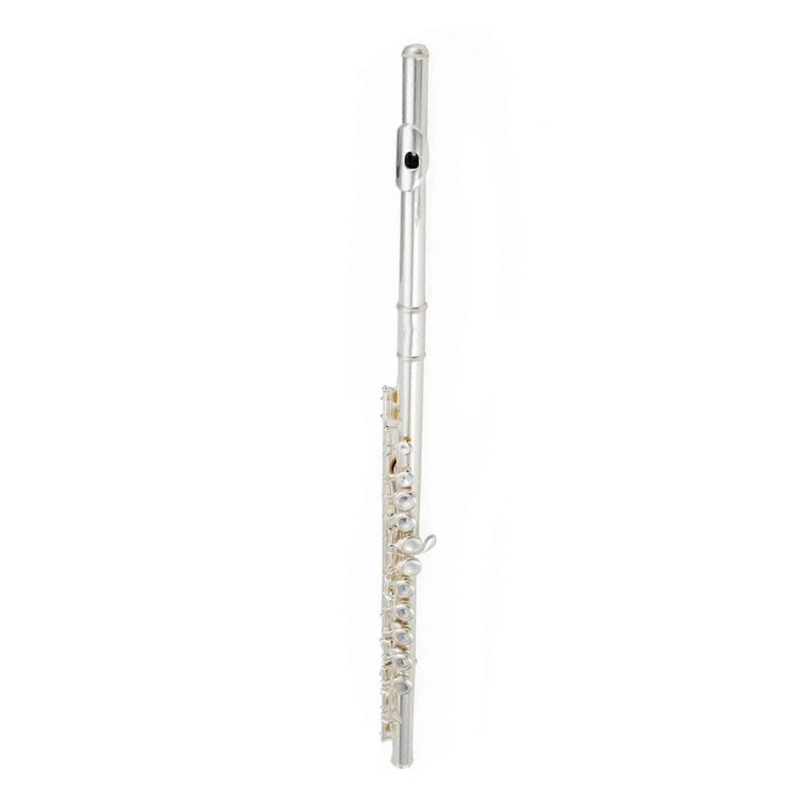 Professional Flute Instrument for Beginners, 16Hole NickelPlated Flute, Professional Musical Instrument