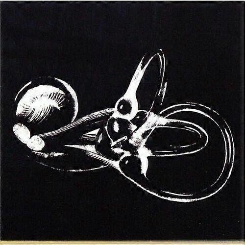 Obtainium CD (2003) NEW