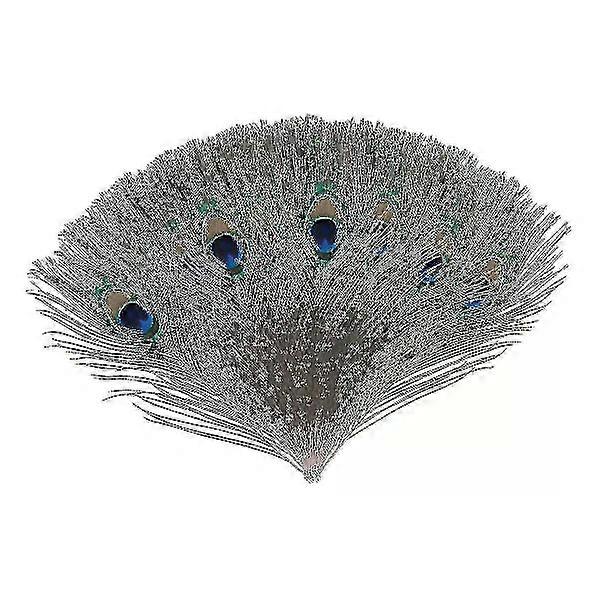 Natural large peacock feathers for decoration