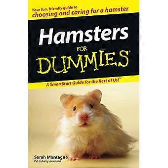 Hamstrar för Dummies