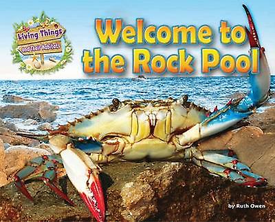 Welcome To The Rock Pool by Ruth Owen Paperback Book