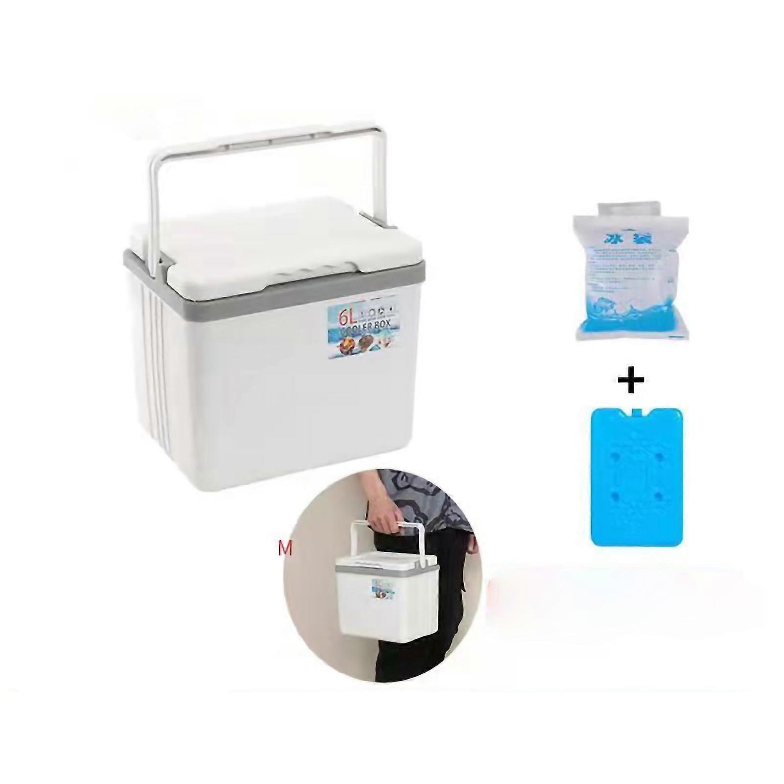 Insulated Cooler Portable Pe Material Keeping Warm Cold Environmentally Friendly Small Cooler For Car 6l White And 5 Ice Packs