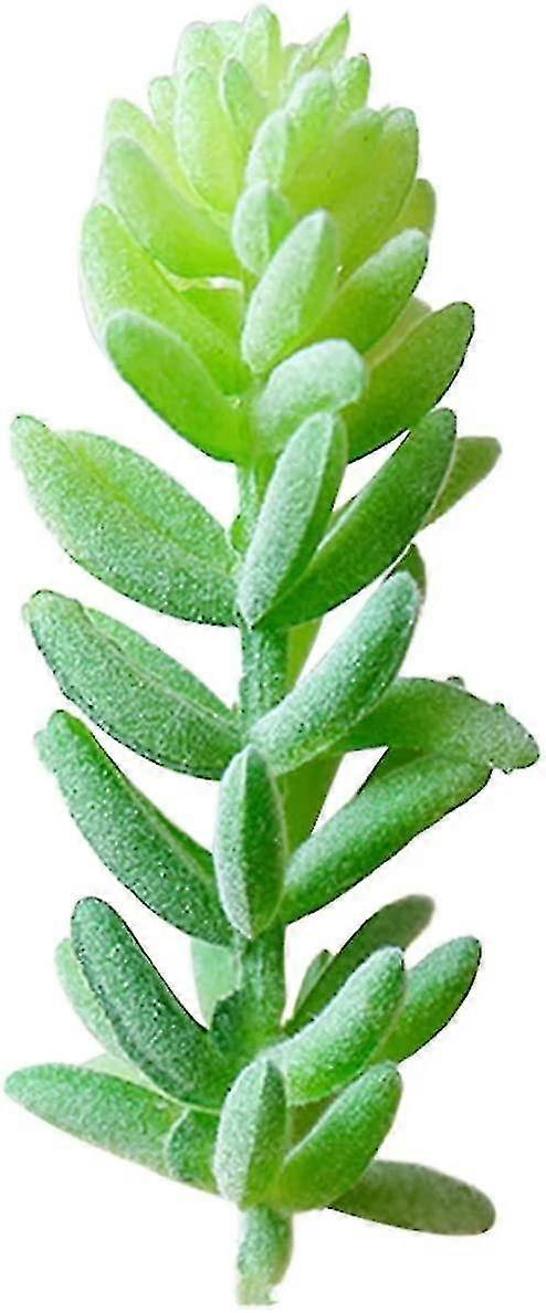Artificial Artificial Flower 1pc Plant