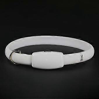 Dog Collar Glow Collar Pet Collar Usb Charging Led Glow Fantasy Colorful Dog Glow Collar