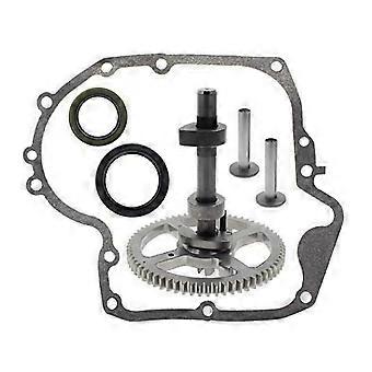 793880 Camshaft kit for Briggs & Stratton 215000 Engines
