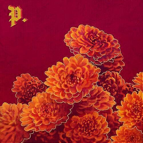 Proper I Spent the Winter Writing Songs About Getting Better CD (2019)