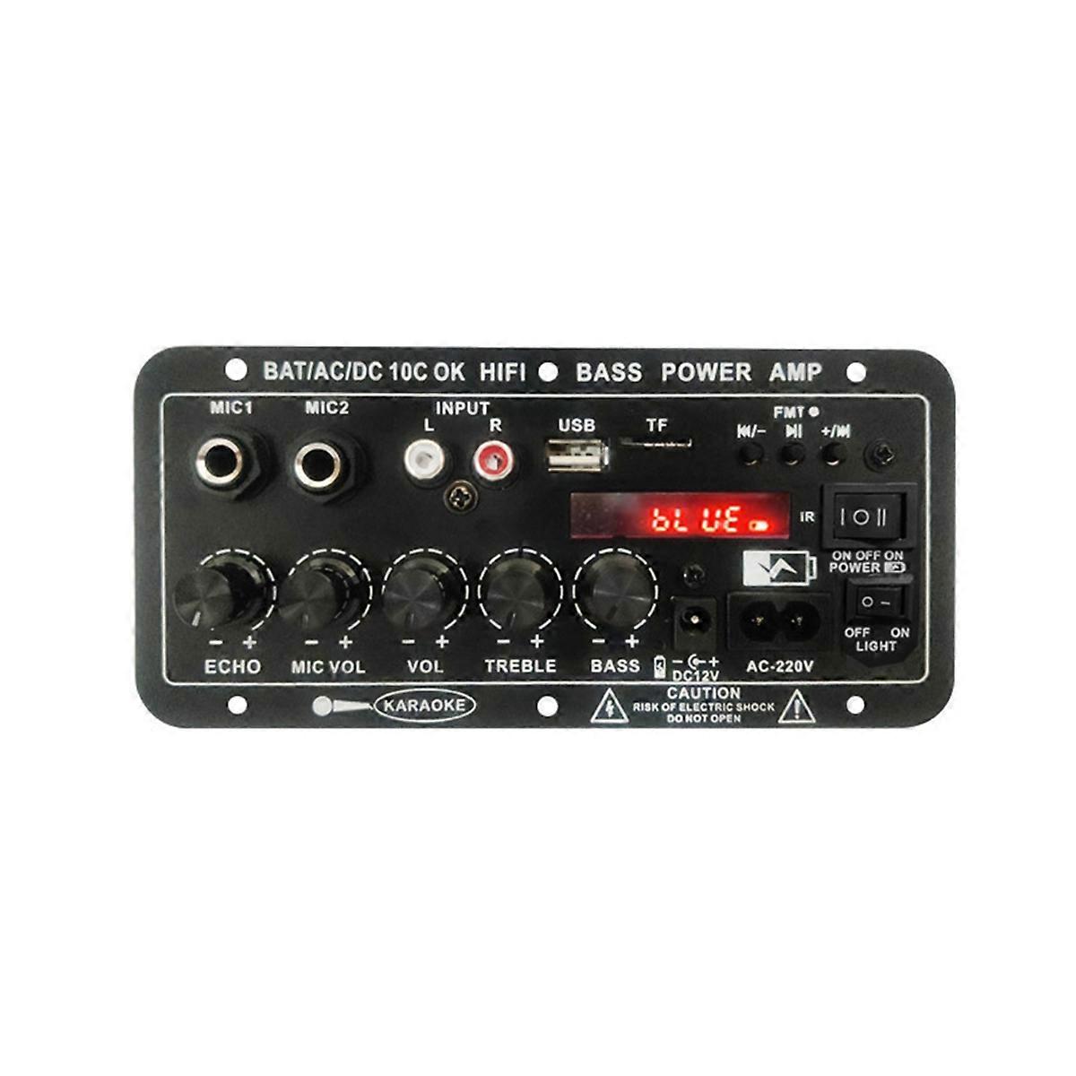 Power Amplification Board D10C BT 5.0 Dual Microphone Subwoofer Battery Rechargeable Digital Amplif