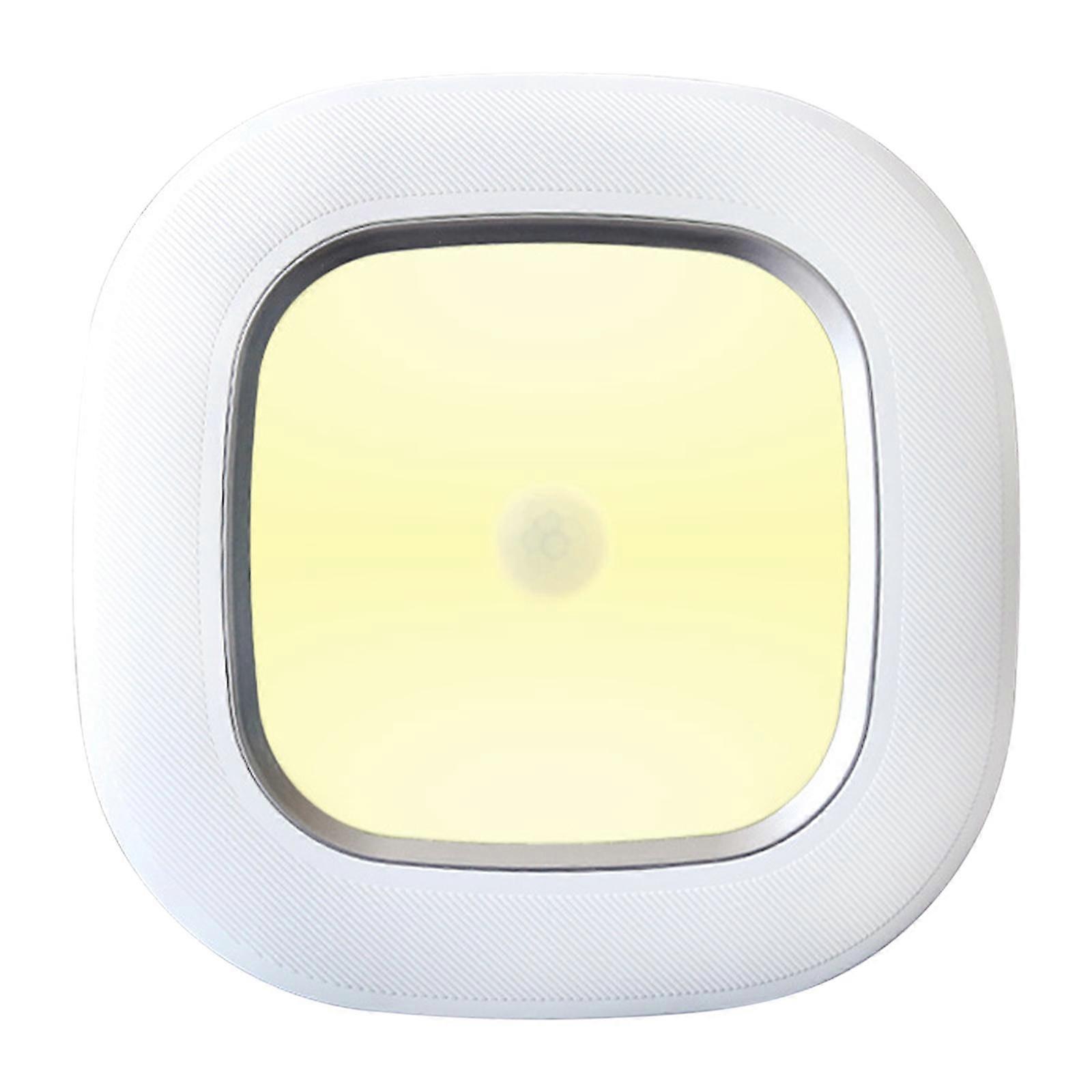 Motion Sensor Ceiling Light Sensor Battery Positive white light