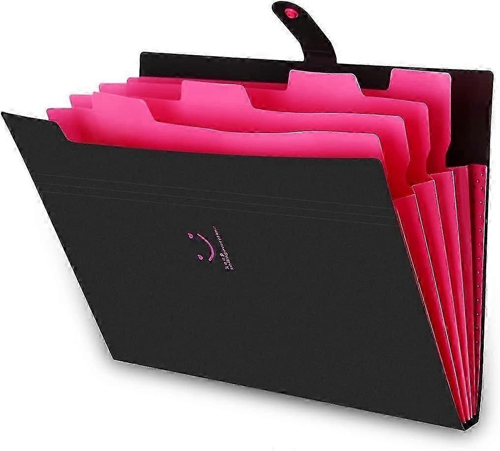 Expandable Portable Document folder, A4 document folder, A4 folder, 5 compartments Handheld folder