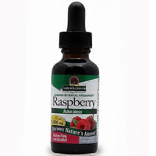 Nature's Answer Raspberry Leaf ,1 Oz (Pack of 1)