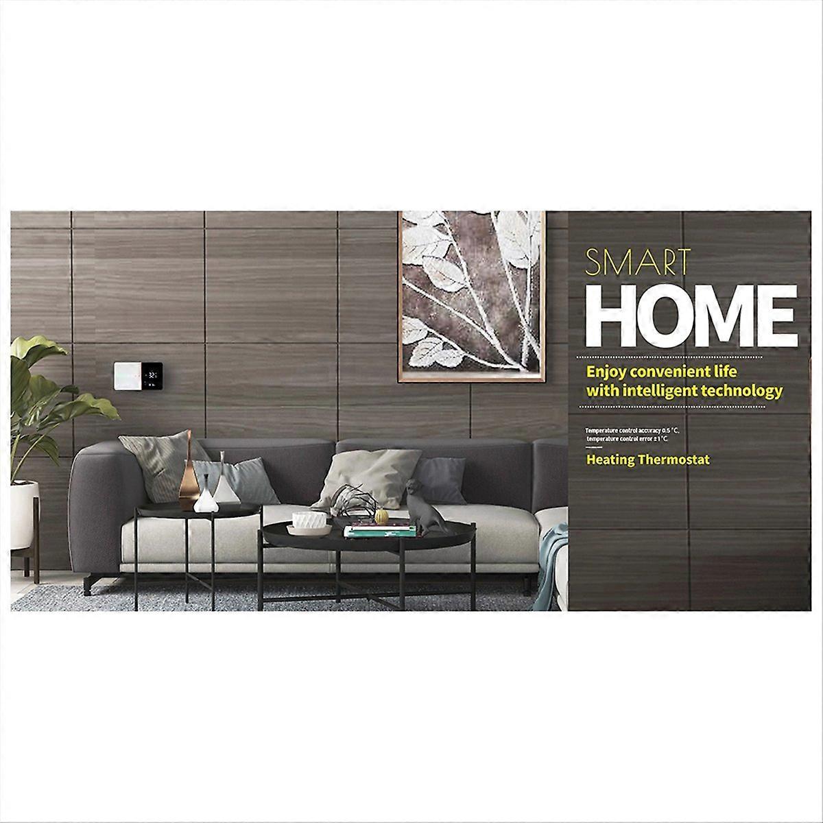 Thermostat Gas Boiler Works for Alexa 5A Boiler Heating