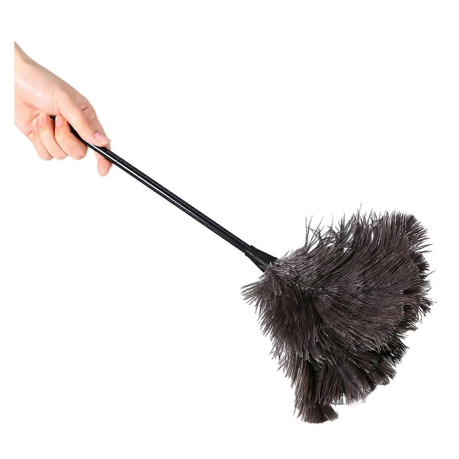 Feather Duster with Long Plastic Handle, Professional Black Finish Cleaning Brush Tool