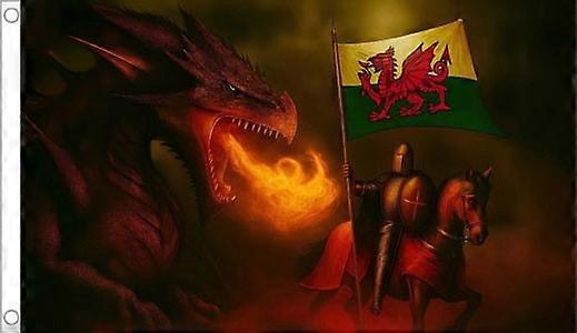 WALES DRAGON FLAG HGD599