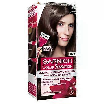 Garnier Color Sensation 5 Castaño Luminoso 