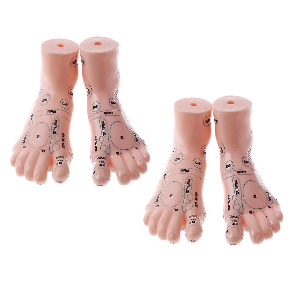 2 pair 19cm Massage Acupuncture Feet Model Reflexology Acupoint  Kit