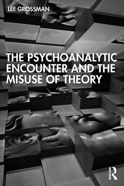 The Psychoanalytic Encounter And The Misuse Of Theory by Lee Grossman Paperback