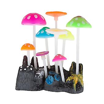 1pcs Aquarium Pilz