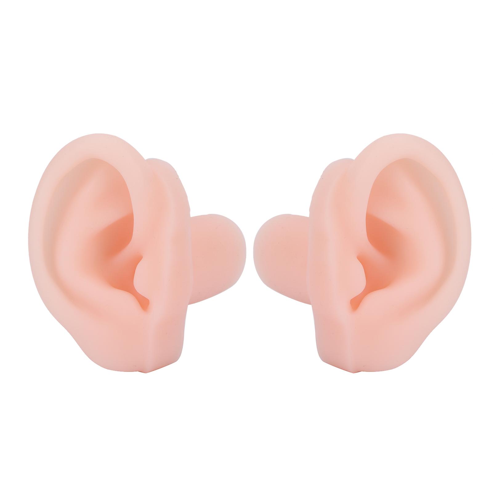 Silicone Ear Model, Flexible, Hospital Display Learning