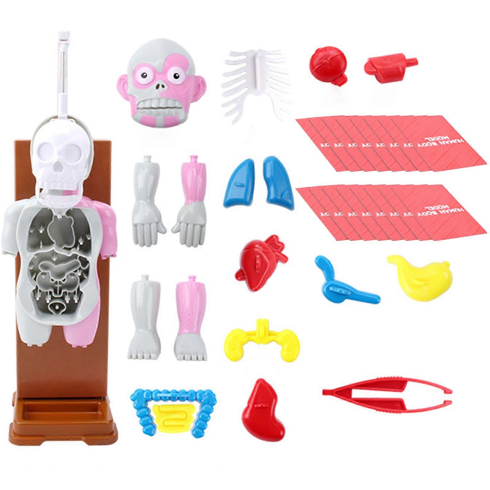 37 יחידות / סט אימה בובות חינוכי נשמע מחריד ליל כל הקדושים אביזר אימה גוף אדם דגם כרטיס לפסטיבל