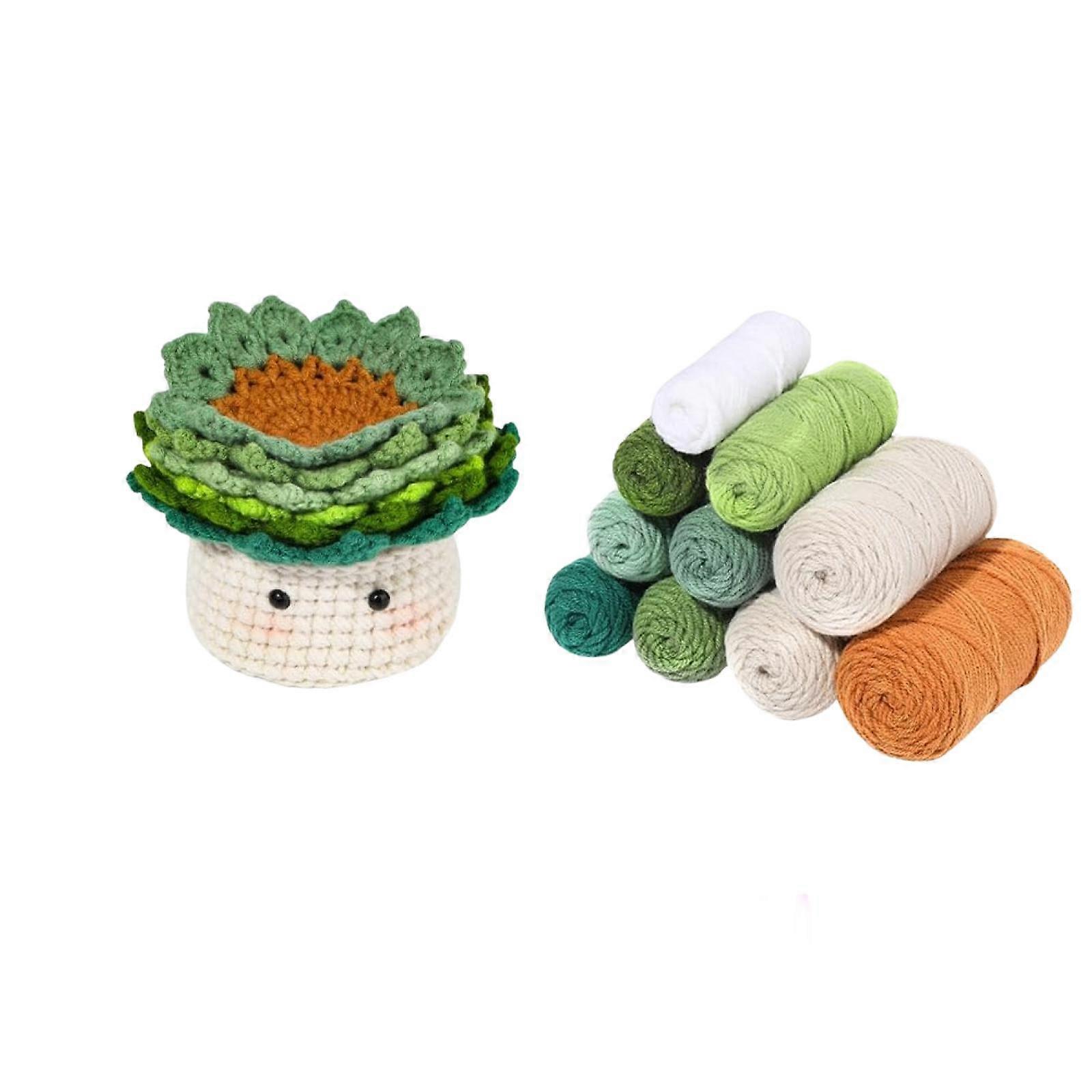 Crochet Kit for Beginners - 6 PCS Crochet Plant Kit, Learn to Crochet Kit for Kids Adults, with Step-by-Step Video Tutorials, Knitting Kit