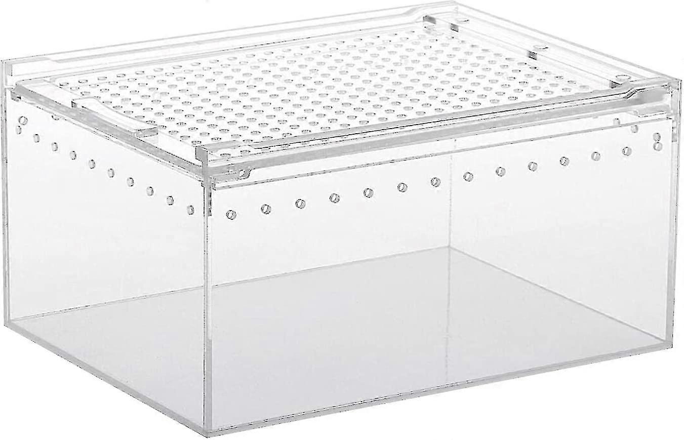 Acrylic Transparent Insect Feeding Box