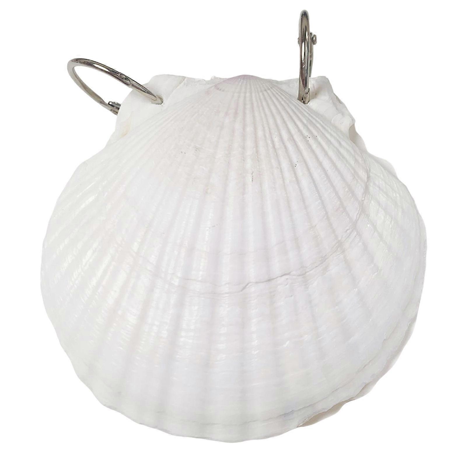 Cute Shell Shaped Daily Notebook Hardcover Ocean Series Daily Notebook