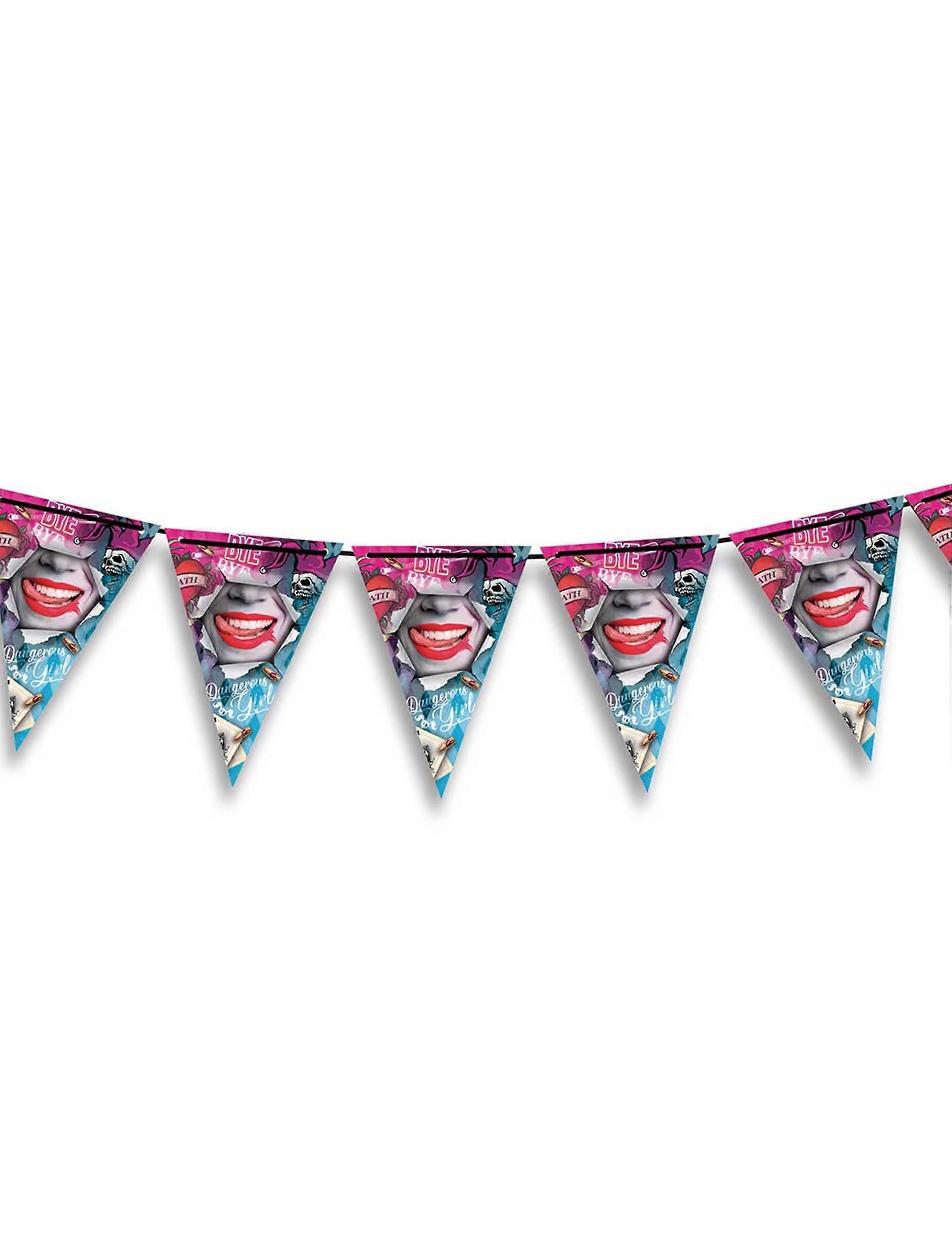 Dangerous Girl Bunting 300cm