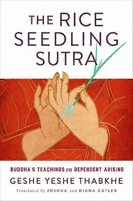 The Rice Seedling Sutra by Yeshe Geshe Thabkhe Paperback