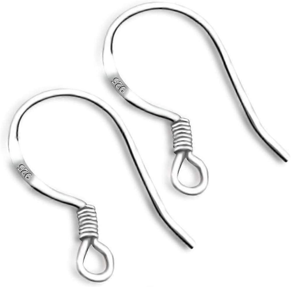 xinye Sterling Silver Fish Hook Earrings Earwires w/Coil