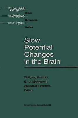 Slow Potential Changes in the Brain